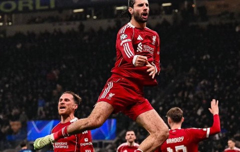 开云-英格兰足总杯赛程