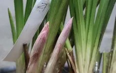 开云-b站bv1kj411q77x置顶答案